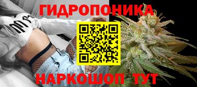 дмт Нарткала